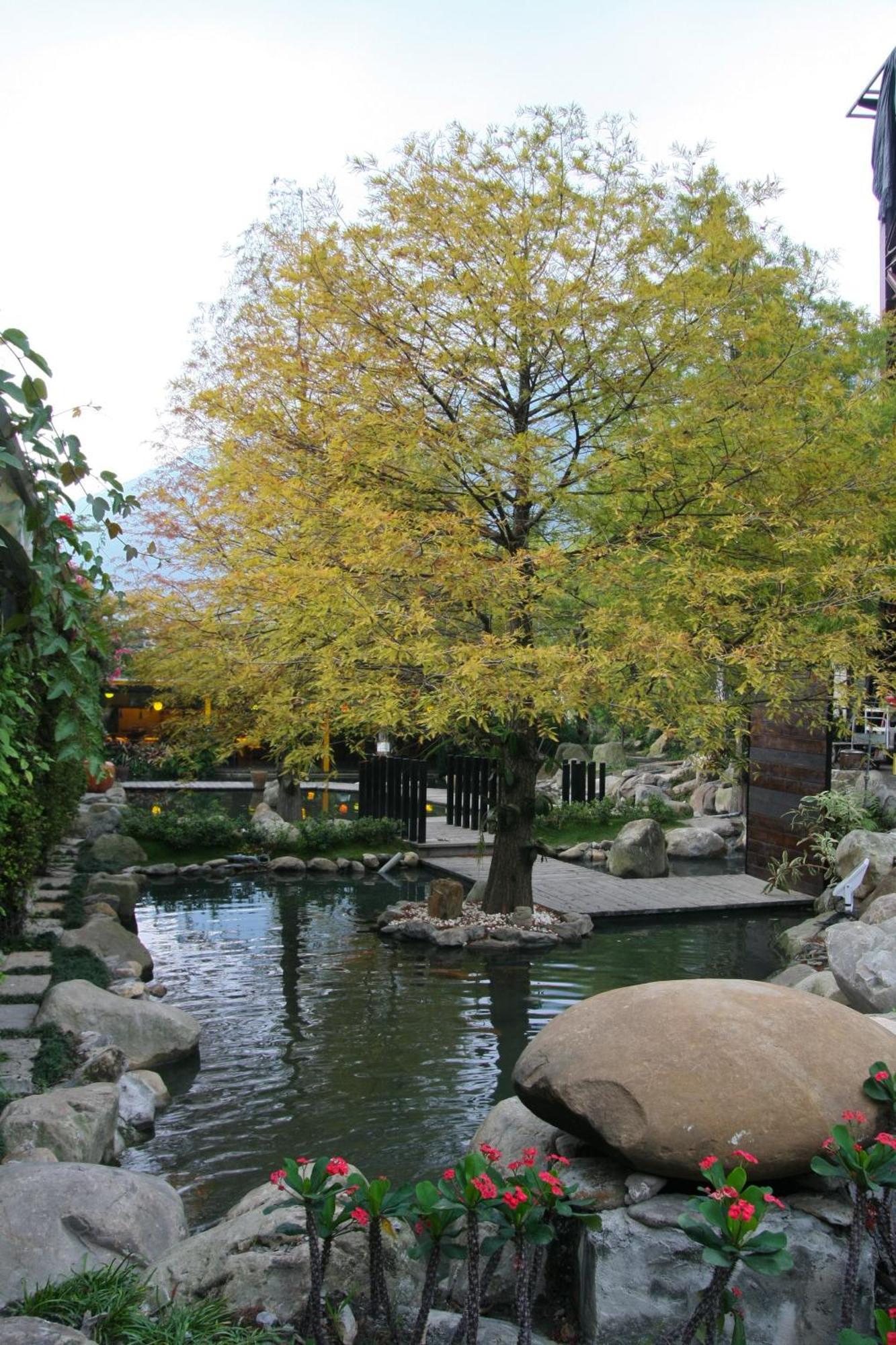 Tai-Yi Red Maple Resort Puli Luaran gambar