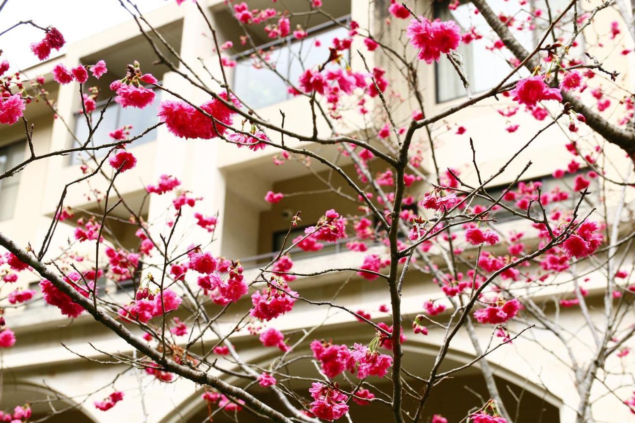Tai-Yi Red Maple Resort Puli Luaran gambar